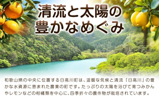 みかん 超訳あり早生みかん 約5kg 《12月上旬-2月上旬頃出荷》 和歌山県 日高川町 みかん ミカン 早生みかん 蜜柑 柑橘 訳あり 果物 くだもの フルーツ 青果物