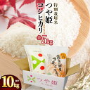 【ふるさと納税】令和6年産 特別栽培米 つや姫5kg ＆ 黄金の郷里 コシヒカリ 5kg 精米10kg 食べ比べ 山形県庄内産　鶴岡米穀商業組合