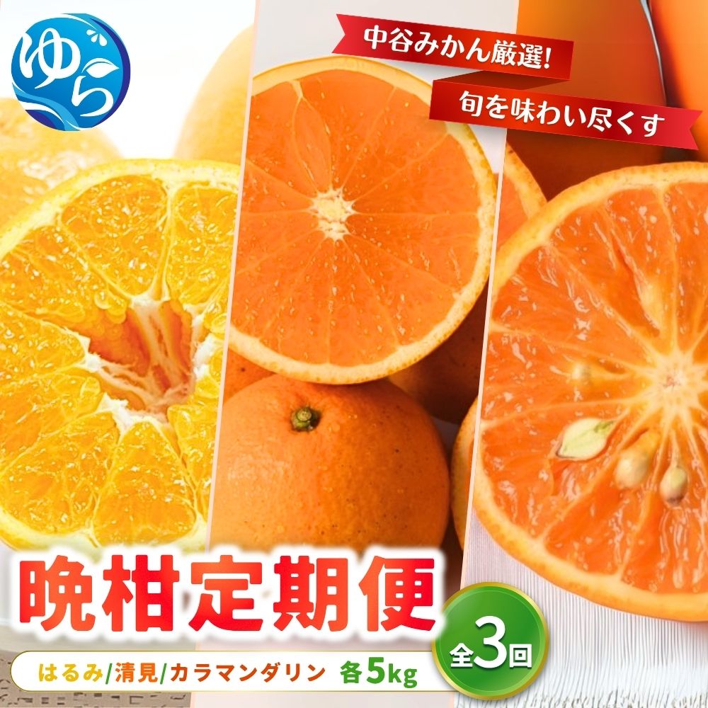 【ふるさと納税】 柑橘 定期便 全3回 / はるみ みかん・清見 オレンジ・カラマンダリン / 柑橘 晩柑 フルーツ定期便 和歌山 由良町 農家直送