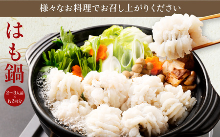 のぞみ水産 活〆 骨切り 生鱧 500g 【2025年5月上旬から12月上旬発送予定】