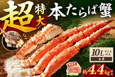 【2肩約5kgの超極太10L以上メガサイズ】一番人気！ 本たらば蟹 生肩 約5kg【ふるさと納税3.0】【087A-009】