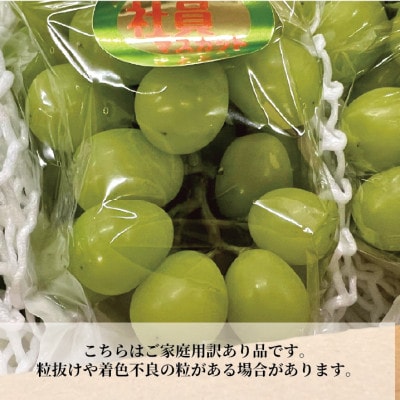 【訳あり】シャインマスカット ご家庭用/約2.2kg (岡山県産) 食べ応え満足便!【配送不可地域：離島・北海道・沖縄県】
