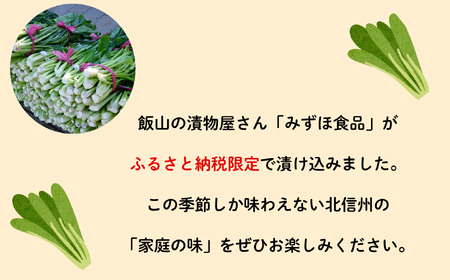 【期間限定】《3kg》「野沢菜 本漬」　（Bl-004）漬物屋さんが漬けた北信州の家庭の味漬物 つけもの 国産 野沢菜 野沢菜漬け ご飯 おかず 副菜 郷土食 郷土料理 冬季限定 家庭