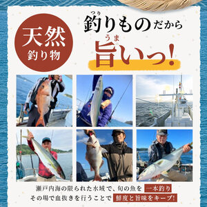 天然 さわらたたき 約300g サワラ 冷凍