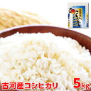 【ふるさと納税】【新米】令和6年産 古河産コシヒカリ（5kg）｜米 コメ こめ ごはん ご飯 ゴハン 白飯 単一米 国産 コシヒカリ こしひかり 5kg 茨城県 古河市 着日指定可 ギフト 贈答 贈り物 プレゼント お祝 ご褒美 景品 記念日 おいしい 定番 ギフト プレゼント 贈答 _DP07