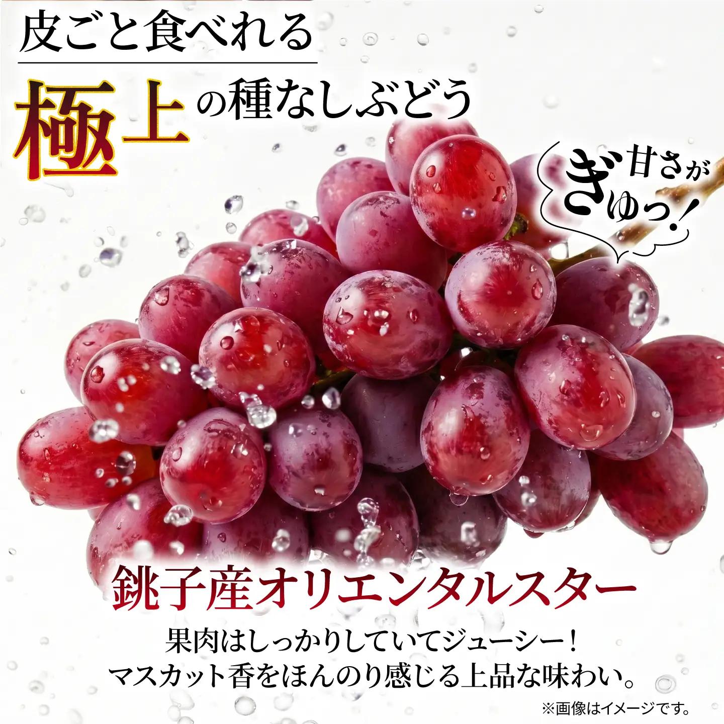 訳あり ぶどう オリエンタルスター 1房 450g 以上 数量限定 種なし ぶどう
