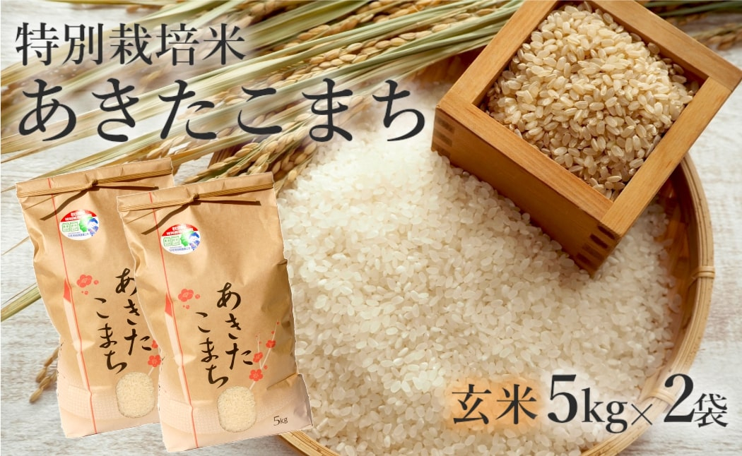 
                  玄米 あきたこまち 10kg (5kg×2袋) 令和7年産 米 こめ お米 おこめ 令和7年 特別栽培米 産地直送 ご飯 ごはん 秋田こまち 秋田 秋田県 能代市 特別栽培 減農薬
                