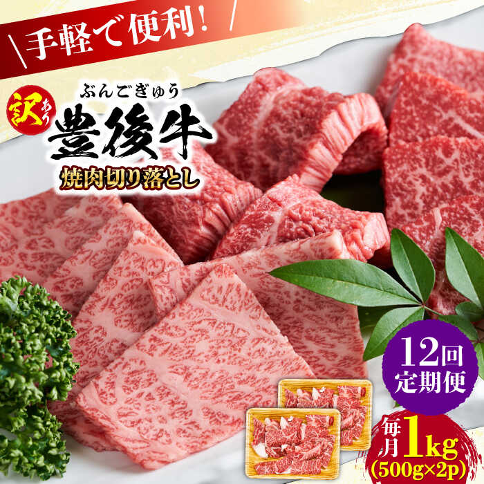 【ふるさと納税】【全12回定期便】【訳あり】おおいた豊後牛 焼肉 切り落とし 1kg(500g×2P) 日田市 / 株式会社MEAT PLUS 黒毛和牛 和牛 豊後牛 霜降り 小分け 切り落とし 焼肉 焼肉用[AREI136]