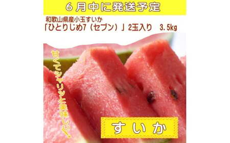 定期便【全3回/6・7・8月】夏をお届け！フルーツ定期便！小玉すいか・桃・ピオーネ / フルーツ 果物 すいか ひとりじめ7 もも モモ ぶどう ブドウ  旬 定期便  【tkb345】