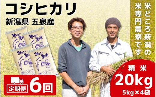
                  【先行予約】令和8年産【定期便 6ヶ月】 米 20kg (5kg×4袋) × 6回 五泉産 コシヒカリ | 白米 精米 こしひかり お米 おこめ 新潟県 五泉市 わくわく農場
                