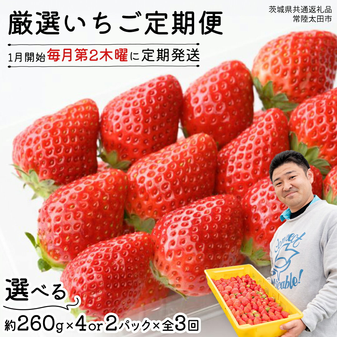 【ふるさと納税】【 先行予約 】 【 定期コース 】 厳選 いちご 選べる 2パック または 4パック 【 毎月 第2木曜に全3回発送 初回発送 2026年1月15日 】 ( 茨城県共通返礼品 : 常陸太田市 ) 選べる容量 約260g×2パック または 約260g×4パック