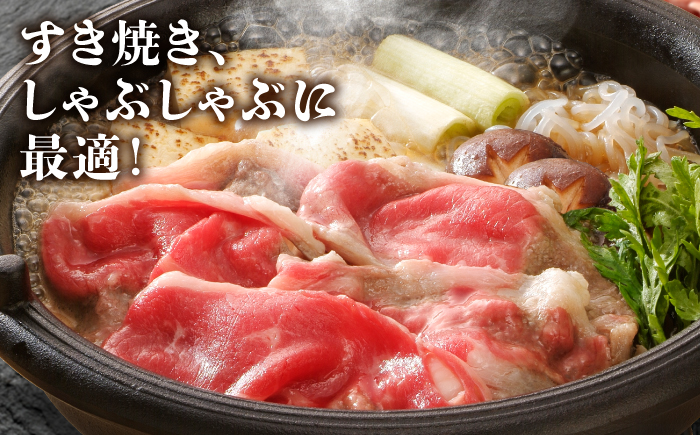 【全国有数のブランド牛】＜全6回定期便＞佐賀牛ローススライス 500g　（すき焼き・しゃぶしゃぶ用）【がばいフーズ】 [HCS027]