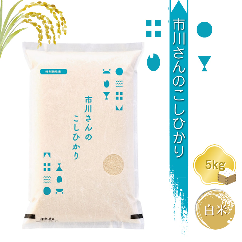 【令和7年産・白米5kg】特別栽培米　市川さんのこしひかり （2025年11月出荷開始予定）先行予約 新米 信州【 米 コメ 備蓄品 仕送り おすそ分け 備蓄米 長野県 佐久市 】