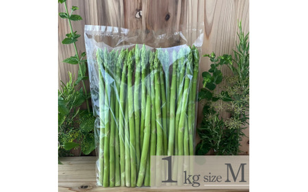 【先行予約】オーガニック サマーグリーンアスパラガス  M 1kg アスパラガス