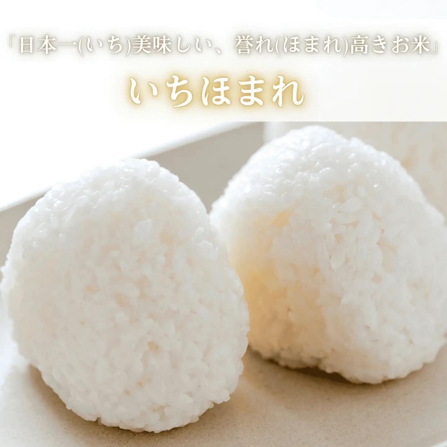 福井県産いちほまれ 米 5kg [B-187002] / いちほまれ
