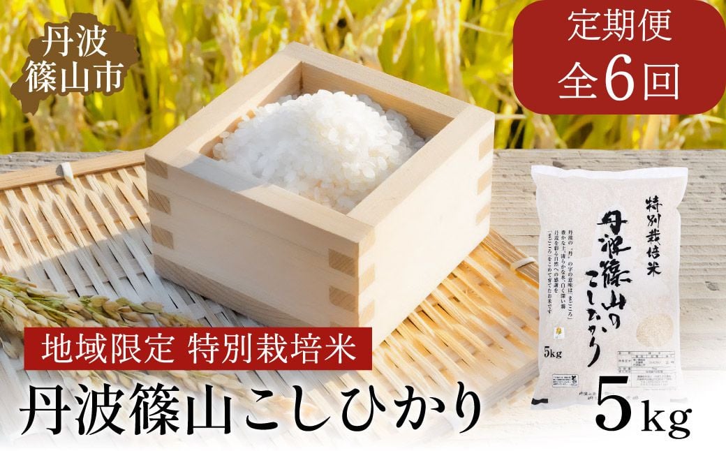 
            【定期便】※令和7年　新米予約※特Aランク特別栽培米　コシヒカリ　5kg（全6回） 兵庫県 丹波篠山市 白米 100％単一原料米 産地直送米 贈答 おいしい お米 精米 コシヒカリ ブランド おこめ 健康 ギフト 内祝い 贈り物 送料無料 おすすめ 人気 口コミ
          