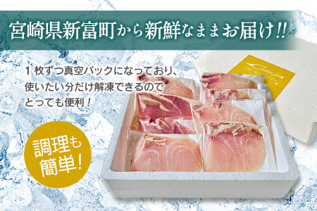チョウザメ 切り身 70g×8P 魚 B687