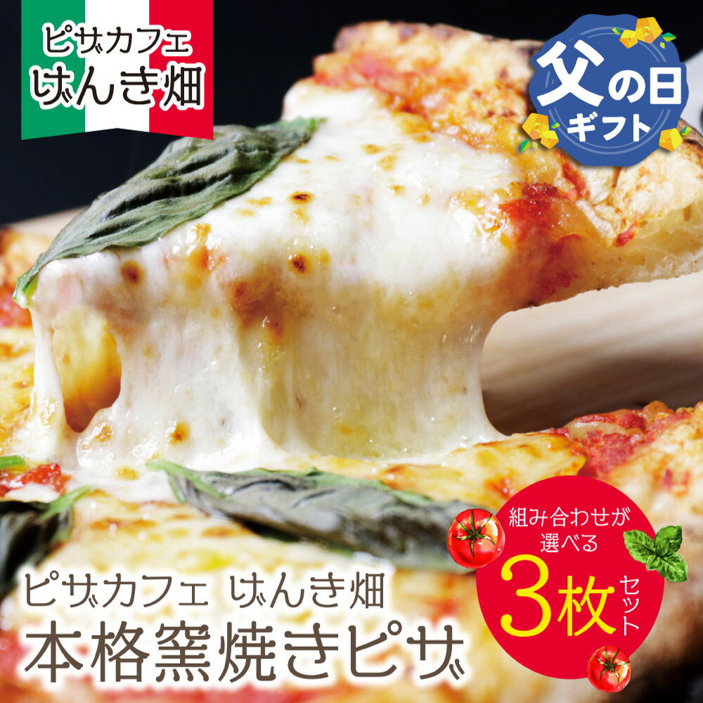 【ふるさと納税】 げんき畑 ピザ 3枚セット＜(赤・白)＆お好みのピザ＞3枚セット 最短発送 ピッツァ 専門店 パーティー 冷凍 送料無料 手作り こだわり 人気 食べ比べ 常備 定番 母の日 父の日 ギフト U24
