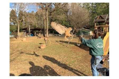 ダチョウ王国入場チケット（ 入場券 大人 2枚 小人 2枚 ） 動物ふれあい チケット ダチョウ アルパカ カピバラ 牧場 観光 体験型レジャー 80種類 動物 ふれあい 観光牧場 家族 子ども 子供