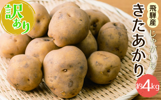 【訳あり】《先行予約》令和8年産 きたあかり じゃがいも 4kg 馬鈴薯 サイズばらばら 飛騨産 国産 キタアカリ ジャガイモ 野菜 化学肥料不使用栽培
