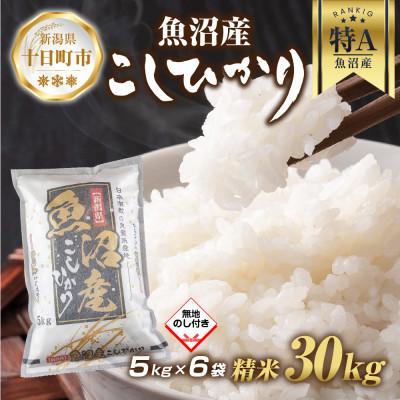 ふるさと納税 十日町市 【無地熨斗】魚沼産 コシヒカリ 5kg×6袋 計30kg(お米の美味しい炊き方ガイド付き)