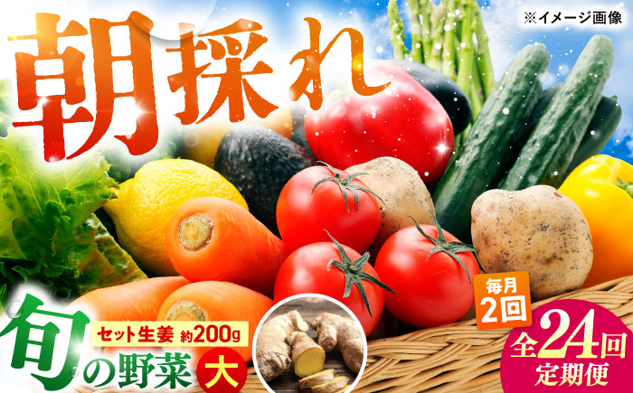 【24回定期便・月2回配送】 土佐の太陽をいっぱいに浴びた旬の野菜10〜13品目と生姜約200gのセット / 高知 土佐 旬 野菜 生姜 詰め合わせ セット 仕送り 【土佐野菜】 [ATBA017]