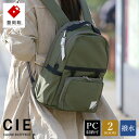 【ふるさと納税】豊岡鞄 CIE WEATHER DAYPACK（071953）オリーブ / 木和田正昭商店 A4ファイル対応 ノートPC収納 通勤 メンズ レディース リュック バックパック リュックサック