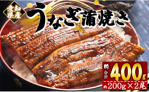 
            【国産】うなぎ 蒲焼 200g×2尾 セット 計 400g 養殖 鰻 うなぎ 蒲焼き かば焼き かばやき 惣菜 冷凍 真空パック 簡単調理 fb-0138
          