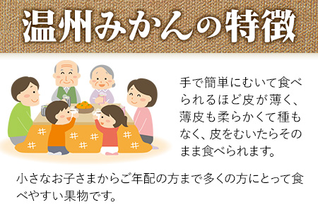 みかん 温州みかん 約 5kg 柑橘 フルーツ ミカン 蜜柑 《11月上旬-12月上旬頃出荷》熊本県 荒尾市産含む 熊本県 荒尾市 フレッシュフーズ