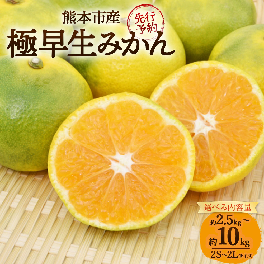 【ふるさと納税】＜ R8年熊本地震復興支援 ＞＜選べる内容量＞極早生みかん 2S～2Lサイズ 約2.5kg / 約5kg / 約7kg / 約10kg みかん ミカン 蜜柑 かんきつ 柑橘 フルーツ くだもの 果物 デザート 熊本県産 国産 熊本市 送料無料 【2026年10月上旬～11月上旬発送予定】