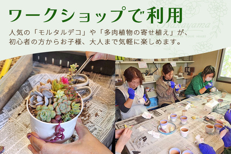 中山園芸 商品券 5,000円分 A07-023