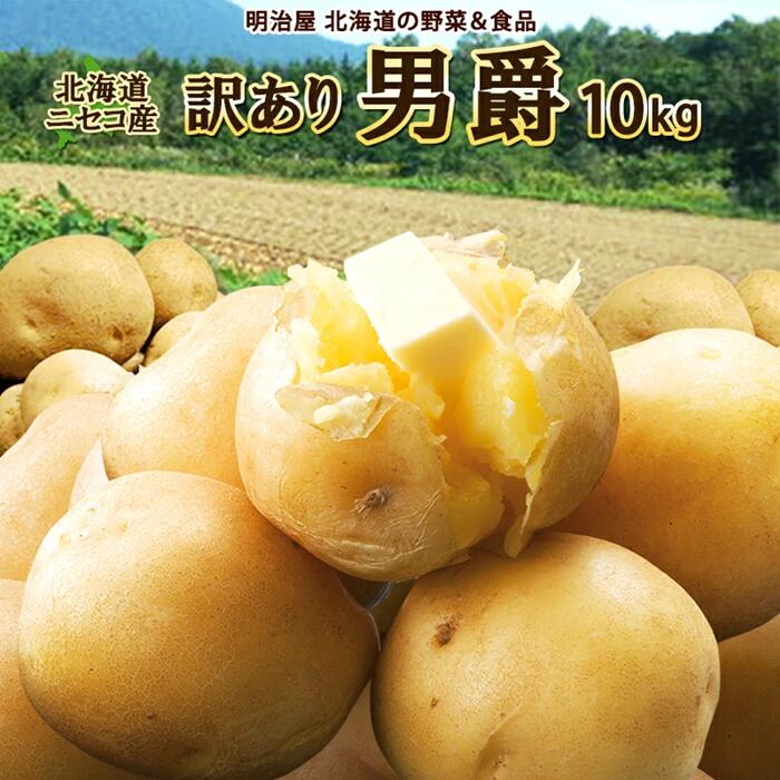 【ふるさと納税】＜早期予約＞北海道ニセコ町 訳ありじゃがいも男爵10kg【2025年産】【3201001】