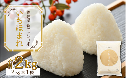 令和7年産 福井県の新しいブランド米 いちほまれ2kg ×1袋 [A-015021]