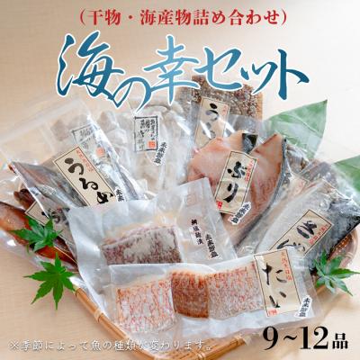 ふるさと納税 大月町 海の幸 干物セット 詰め合わせ 9〜12品入り 鯛 うるめ あじ さば ぶり 朝食 弁当 夕食