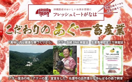 【訳あり】あぐー豚肉ハンバーグ　750g（150g×5個） 簡易包装シリーズ【黒豚あぐー】 訳アリ 豚 簡易包装 SDGS ハンバーグ あぐー 名護市 銘柄豚肉 簡単調理 簡単料理 おかず 食品 国産