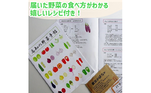 【早期予約】 野菜定期便 10ヶ月 野菜 厳選 季節 旬野菜 セット 11 ～ 13 品 | 野菜 定期便 10回 10ヶ月 10か月 新鮮 採れたて 定番野菜 セット 定期便 詰め合わせ セット き