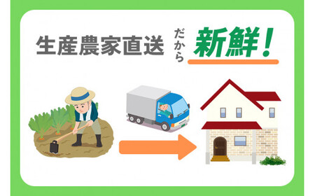[訳あり] 原木 生しいたけ 800g 群馬県甘楽町産｜シイタケ 椎茸 国産 訳あり品 産地直送 おんだファーム 甘楽町 [0186]
