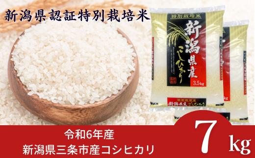 [数量限定] 令和6年産 新潟県認証特別栽培米コシヒカリ7kg(3.5×2) 新潟県三条市産コシヒカリ 精米 こしひかり [外山敏雄商店]【021S076】