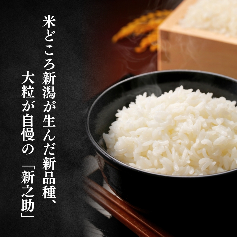 米 【令和7年産】 新潟県上越産 特別栽培米 新之助 【無洗米】 5kg 5キロ お米 こめ 白米 食品 人気 おすすめ にいがた 上越 上越産