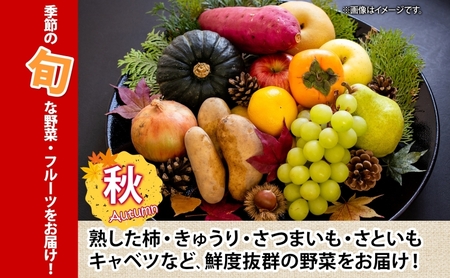 湘南産 地場野菜 フルーツ 詰合せ セット旬 新鮮 産地直送 温室みかん なす 玉ねぎ 小松菜 オクラ ゴーヤ 枝豆 生落花生 柿 きゅうりさつまいも さといも キャベツ お取り寄せグルメ 季節 家庭