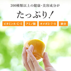 サジー グアマラルサジー【お試し】サジー＋ゆず 360ml _DX17