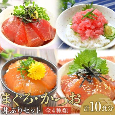 ふるさと納税 徳島市 漬け丼 ねぎとろ丼4種 計10食(まぐろ漬け かつお漬け びんちょうまぐろ)【FW002】