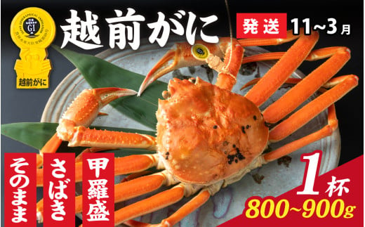 【先行予約】選べる！美味しさ直送【成前特選】 越前がに（800g～900g）×1杯【11月～3月発送】 甲羅盛 [K-028048_07]