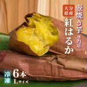 【ふるさと納税】紅はるか 焼き芋 冷凍 さつまいも 6本 Lサイズ 壺焼き芋 やきいも サツマイモ スイーツ 九州