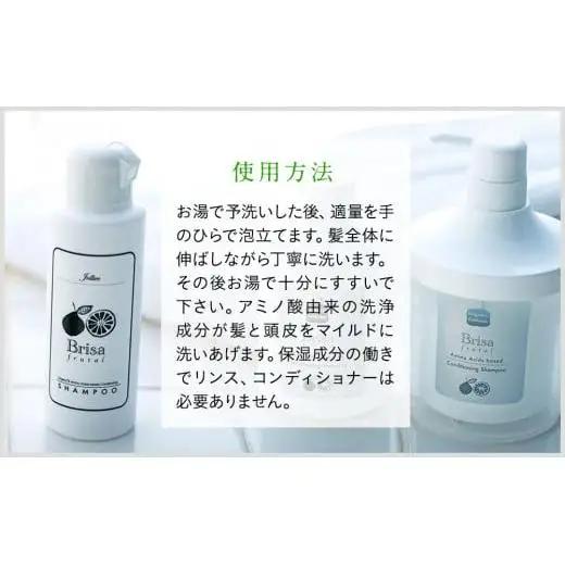 L02-011 ブリッサフルータル ノンシリコンシャンプー（500mL×1本、100mL×1本）