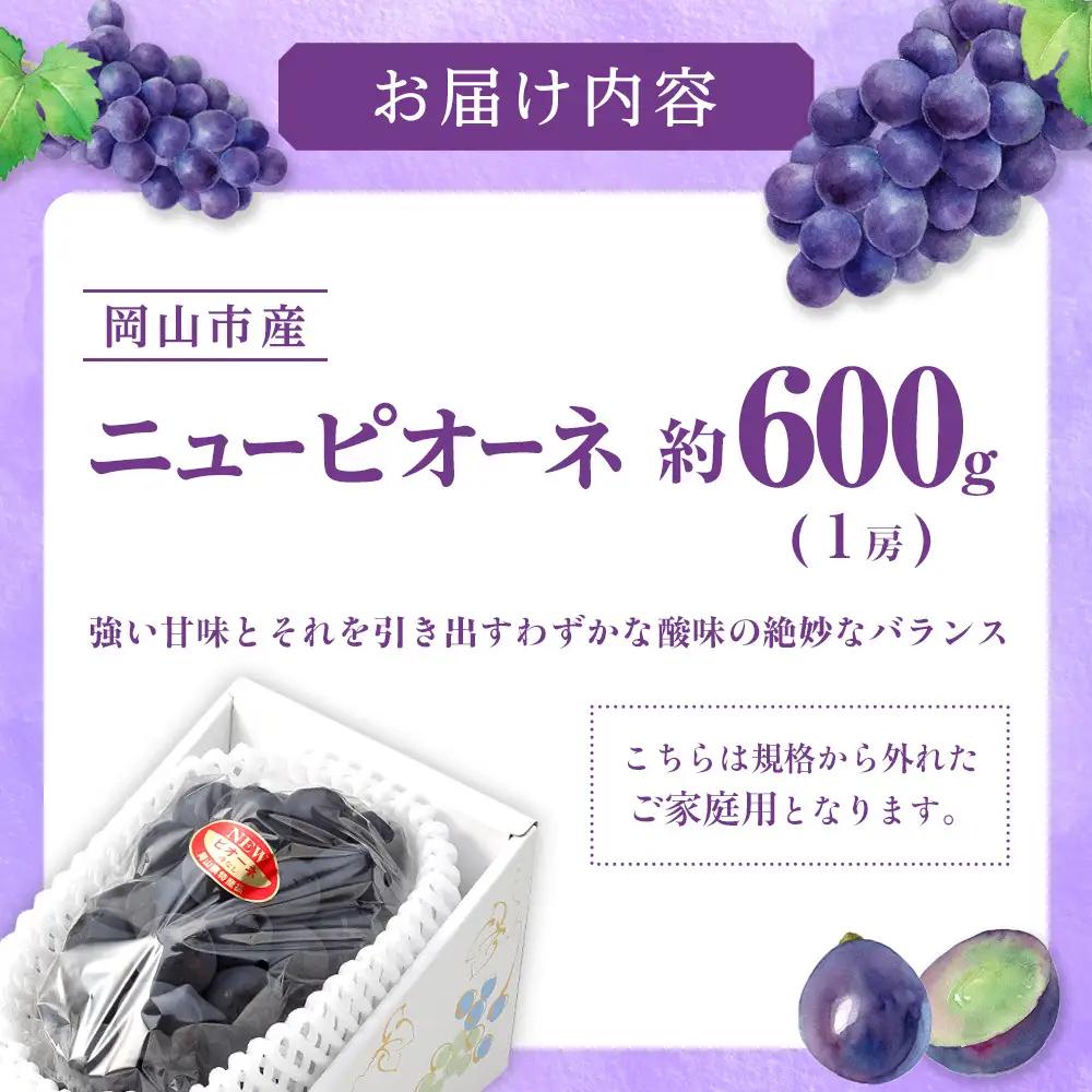 ご家庭用 ニュー ピオーネ 約600g×1房 ｜  ピオーネ