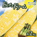 【ふるさと納税】＼寄附額改定／ドルチェドリーム 約2kg(高松市)【2025-6月上旬～2025-7月上旬配送】 | とうもろこし コーン フルーツのような味わい 国産 香川県産 野菜 お取り寄せ 自宅用 家庭用 瀬戸内 香川県 高松市 食品 冷蔵