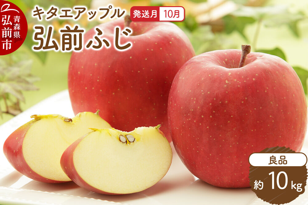 【26年10月発送】りんご 弘前ふじ【良品】約10kg キタエアップル 青森県 弘前市 [先行予約 弘前ふじ りんご 贈り物 アップル おいしい 果実 果物 赤色 美味 林檎]
