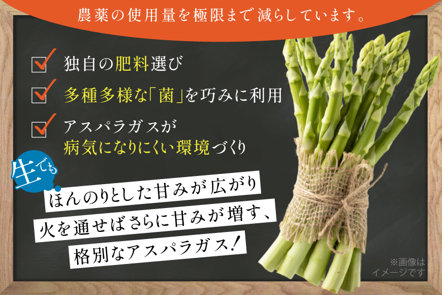 アスパラ アスパラガス 春芽アスパラガス 4kg L サイズ以上 [はゆっちFARM 長崎県 東彼杵町 hs42bag360019] アスパラ あすぱら 新鮮 春