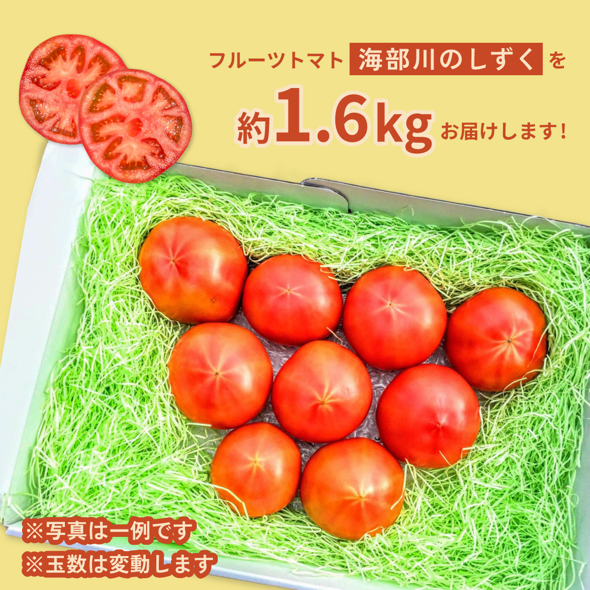 フルーツトマト「海部川のしずく」約1.6kg トマト とまと tomato